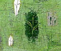 Time and seasons